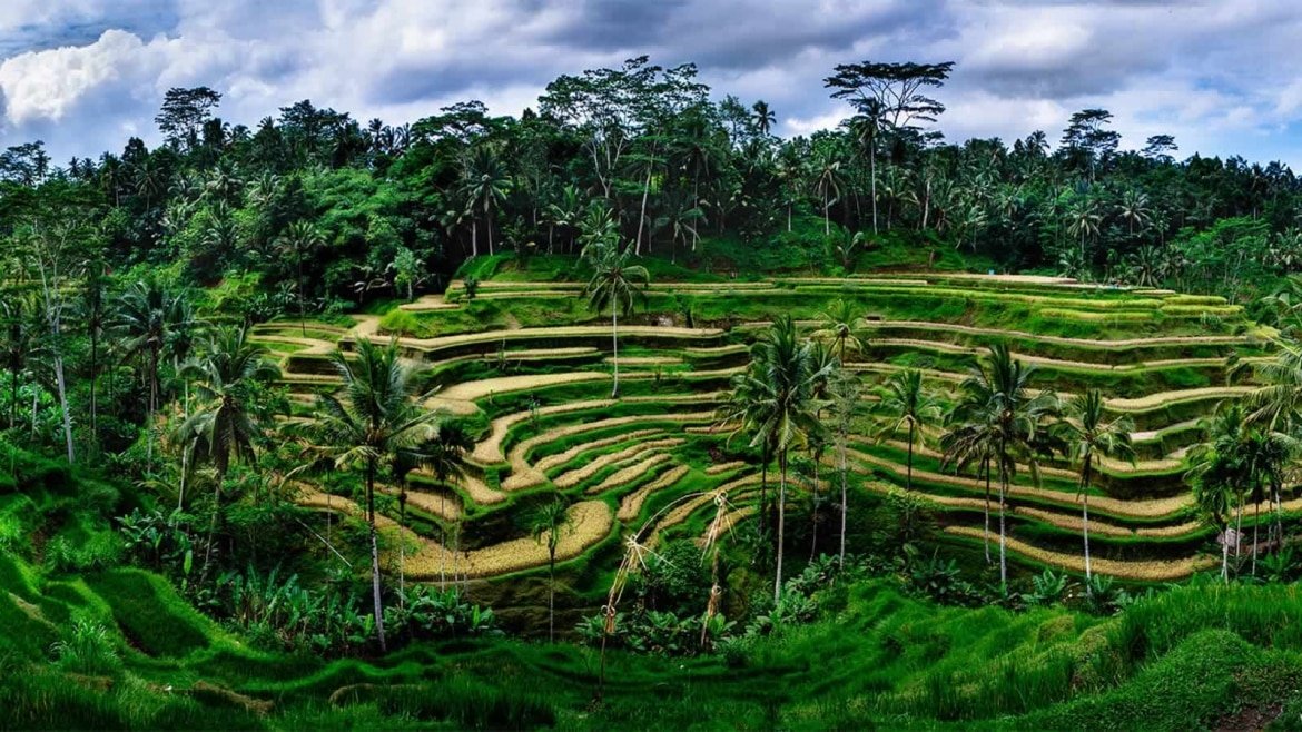 Explore the Beauty of Bali — image 6